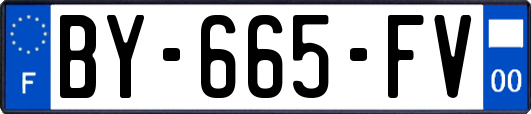 BY-665-FV