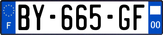 BY-665-GF