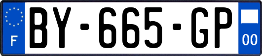 BY-665-GP