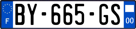 BY-665-GS