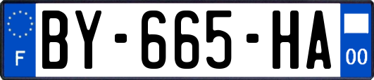 BY-665-HA