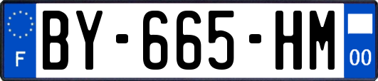 BY-665-HM