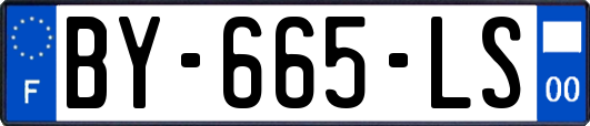 BY-665-LS