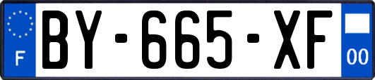 BY-665-XF