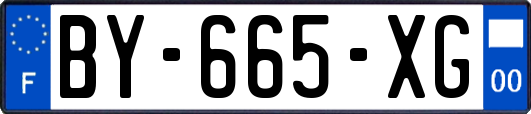 BY-665-XG