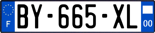 BY-665-XL