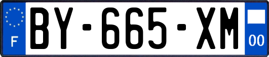 BY-665-XM