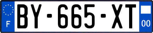 BY-665-XT