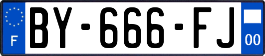 BY-666-FJ