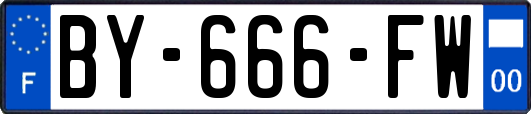 BY-666-FW