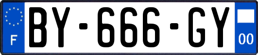 BY-666-GY