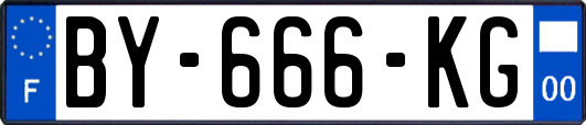 BY-666-KG