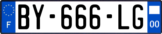 BY-666-LG