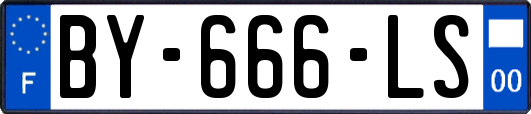 BY-666-LS