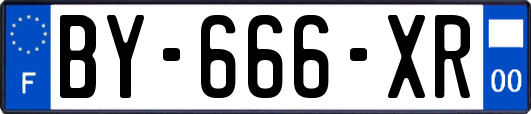 BY-666-XR