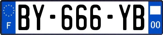 BY-666-YB
