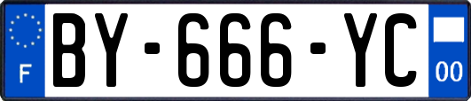 BY-666-YC