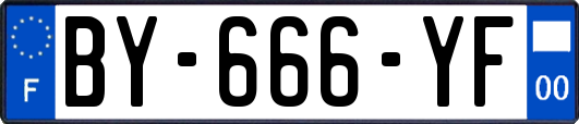 BY-666-YF