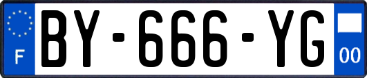 BY-666-YG