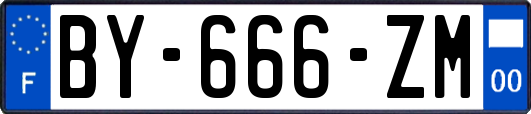 BY-666-ZM