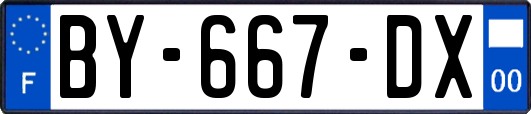 BY-667-DX