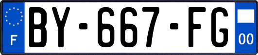 BY-667-FG