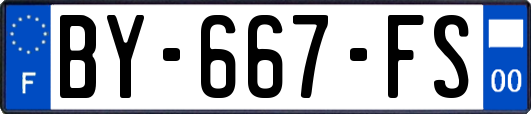 BY-667-FS
