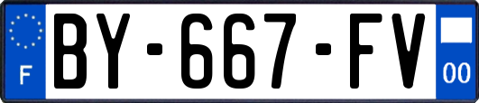 BY-667-FV