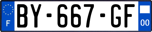 BY-667-GF
