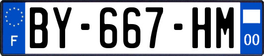 BY-667-HM