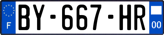BY-667-HR