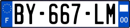 BY-667-LM
