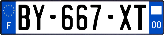BY-667-XT