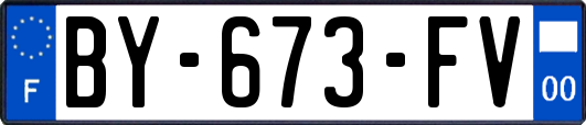 BY-673-FV