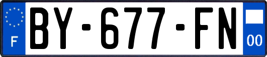 BY-677-FN