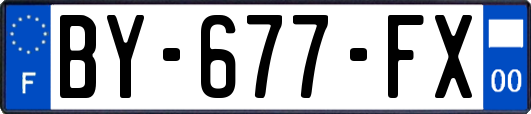 BY-677-FX