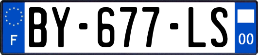 BY-677-LS