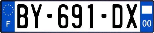 BY-691-DX