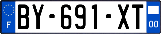 BY-691-XT