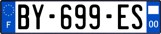 BY-699-ES