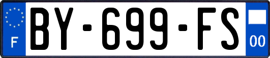 BY-699-FS
