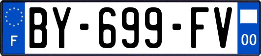 BY-699-FV