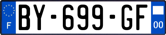 BY-699-GF