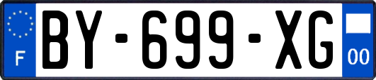 BY-699-XG