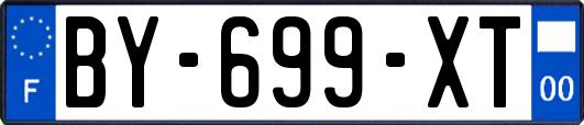 BY-699-XT