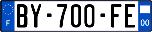 BY-700-FE