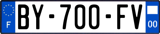 BY-700-FV