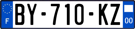 BY-710-KZ