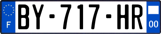 BY-717-HR