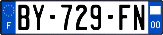 BY-729-FN